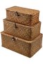 FFD Woven Storage Basket with Lid Storage Box Bins Handwoven Rattan Basket For Home 3pcs Set - 2