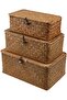 FFD Woven Storage Basket with Lid Storage Box Bins Handwoven Rattan Basket For Home 3pcs Set