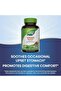 Ginger Root, 1100 mg, 100 Capsules - 8