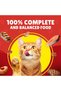 Purina Friskies Turkey Chunks in Gravy Wet Cat Food Pouch 85 g - 4