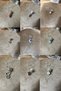 Random 3 Pieces Italian Charm Steel Bracelet (1 Charm Gift - 4
