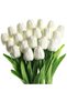 Buchet 20 lalele, SINBINTA, Alb - 5