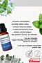 مجموعة صابون الأوكالبتوس العطري الطبيعي والزيت العطري والنعناع والأوكالبتوس العشبي - 6