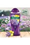 Aroma Sensations so Relaxed Lavender and Ylang Ylang Oils Aromatic Bath and Shower Gel 750 - 2