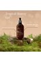 Refreshing Tropical Scented Aloe Vera Moisturizing Bath and Shower Gel - 500ml - 3