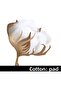 Cotton Pad Normal 8Pcs X6 Pack (48 Pieces) - 4