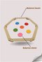 Montessori Wooden Balance Beam (4 Sops 4 Stones) - 3