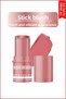 Multitalent Series Stick Blush
