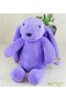 "Soft Rabbit Sleeping Friend Is Here!"