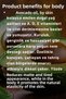 Avocado Oil Extract 250 ml Organic Daily Care Cream Moisturizing Hand - Face - Body Care Cream - 2