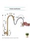 Smart Touch Touchless Kitchen Sink Faucet Matte Gold Spiral Spout Kitchen Faucet - 6