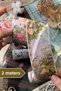 Vintage Pink and Yellow Floral Pattern Washi Tape 2 Meter for Bullet Journal and Scrapbook