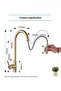 Smart Touch Kitchen Sink Faucet Matte Gold Spiral Fountain New Imported 7 Years Warranty - 7