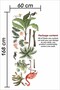 Flamingo And Birds Safari Tropical Animals And Trees Kids Baby Room Wall Sticker - 3