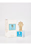 Musk Powder - 50 ML