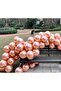 10 Rose Gold Metallic Pearlescent Balloons - 3