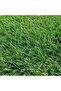Grass Seeds (Sombra Turfgrass) Premium Quality Seeds 1-KG made in Spain - 4