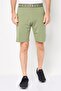 Men Regular Fit Brand Logo Shorts, Khaki