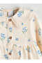 Beige Peter Pan Collar Ruffled Printed Baby Girl Dress - 2