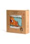 Burp & Bib Cloth - Pack of 3 - Lion hearted - 3