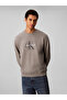 Men Sweatshirts