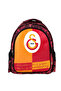 Licensed School Backpack and Pen Holder - History Writer of Facts - 2