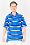 Men Regular Fit Short Sleeve Stripe Polo Shirts, Multicolor