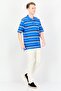 Men Regular Fit Short Sleeve Stripe Polo Shirts, Multicolor - 4