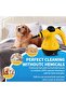 Portable Handheld 1000W Pressurized Steam Cleaner with 10 Accessories - 4