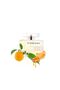 Dauro for Her Eau De Parfum 100ml