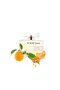 Dauro for Her Eau De Parfum 100ml - 4