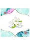 Absorbante Deo Spring Breeze Multiform 20buc - 3