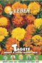 Marigold (Tagete Nano A Fiori Doppi Mix) Premium Quality Seeds Made in Italy