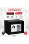 electronic safe - 2