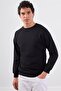 Men's Regular Fit Crew Neck Black Sweatshirt