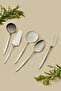 طقم تقديم ميركوري 5 قطع من الفولاذ