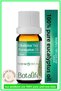 100% Pure Peppermint Oil, Eucalyptus Oil and Rosemary Oil 10ml Triple Set - 4