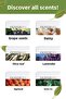 Natural Spa Series Olive Oil Bıttım Soap Hand Soap Olive Oil Solid Soap Moisture Balancing 250 Gr - 4