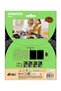 Scraper set with stencils - Dinosaurs - 3