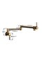 Kitchen Stove Top Faucet Pot New Model Gold Gold Imported - 6
