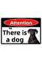 Cane Corso Photo Caution Dog Present Aluminum Warning and Directional Sign - 15cm X 22.5cm