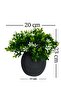 Bonus basil plant with green leaves artificial flower in anthracite coral pot - 3