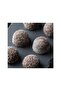 Polycarbonate Round Praline Chocolate Mold 10 Gr |   Cm-3931 - 3