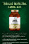 Tribulus Terrestis 500 Mg 60 Kapsül - 5