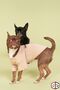 100% Organic Cotton Fabric Dog Clothing, Trouble Mink - 5