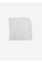 Organic Basic 4 Pack Mouth Wipes - Ecru Blue - 5