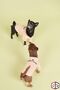 100% Organic Cotton Fabric Dog Clothing, Trouble Mink - 8
