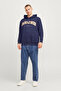 Jjecaleb mens plus size sweatshirt 12258867 - 5