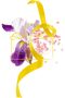 SIGNORINA LIBERA edp vapo 100 ml - 3