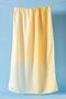 Women's Gradient Soft Shawl - 4